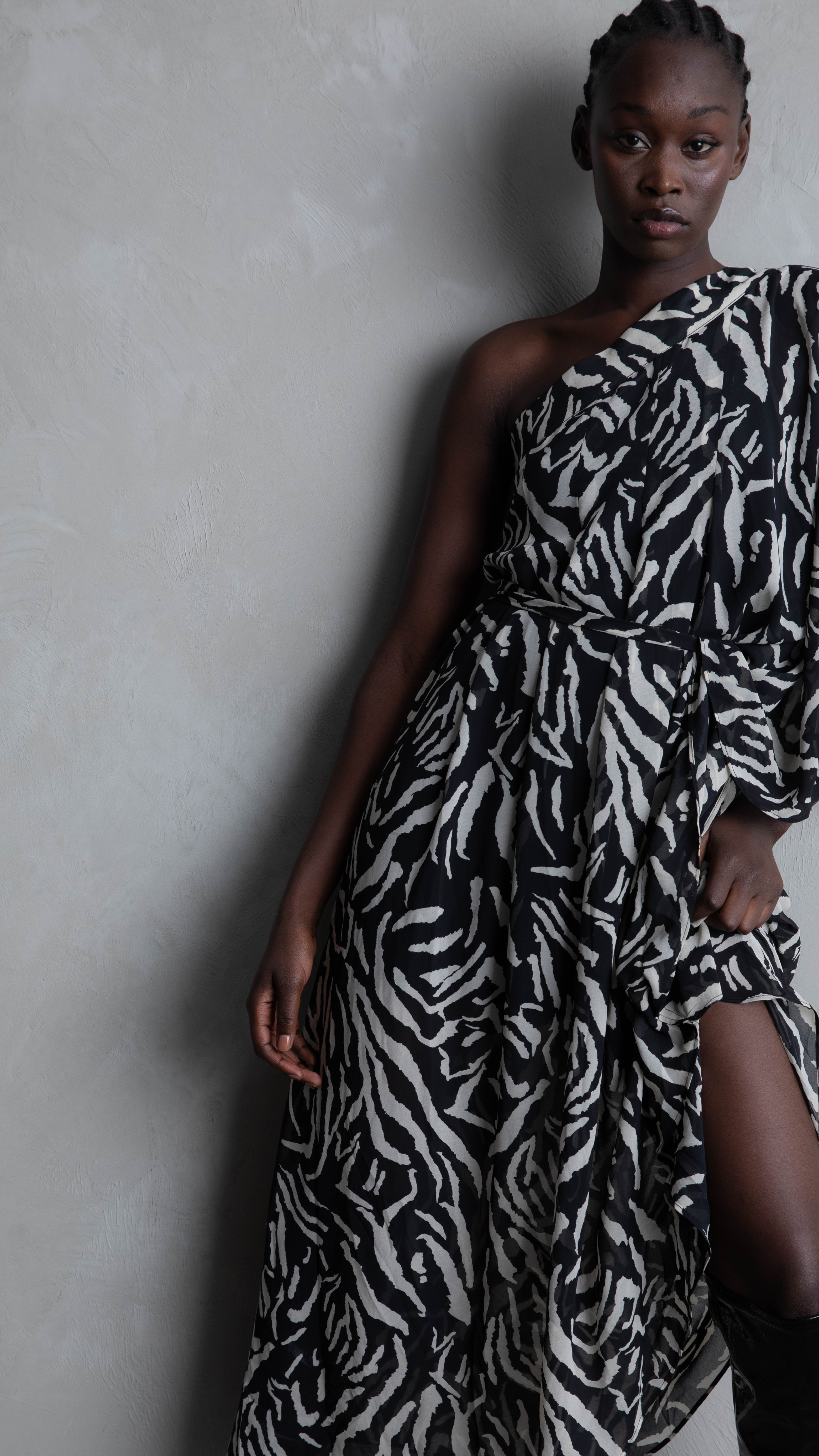 Hadassah Chiffon Dress - Zebra Print